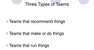 What Are Three Things A Team Should Have?