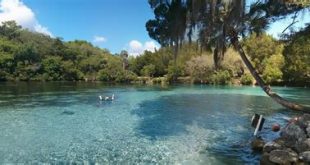 What city in Florida is known for national forest?