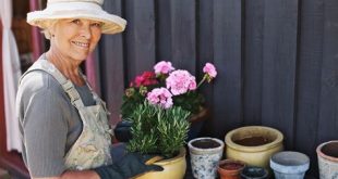 What Do Retired Seniors Do All Day?