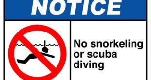 What etiquette is not allowed when snorkeling?