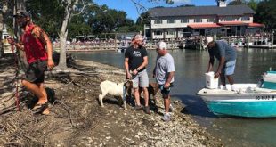 What happened in Goat Island?