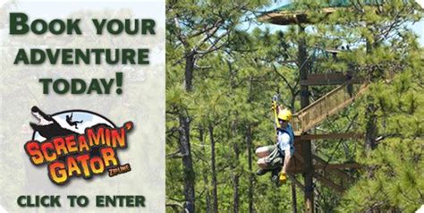 What is a fun fact about Gatorland?