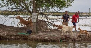 What is filmed on Goat Island?