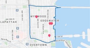 What is the crime rate in Wynwood Miami?
