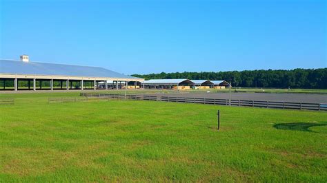What is the famous horse area in Florida?