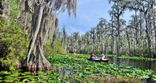 What is the largest wilderness area in Florida?