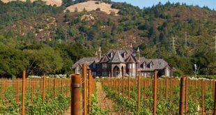 What is the largest winery in the US?