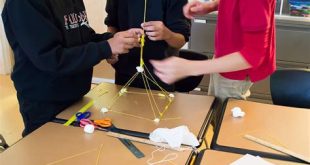 What Is The Marshmallow Challenge Team Building?