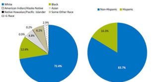 What is the racial makeup of Miami?