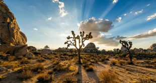 What is the youngest national park in us?