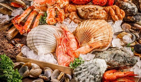 What kind of seafood is best in Florida?
