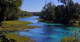 What part of Florida has the most nature?