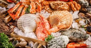 What seafood is healthiest?