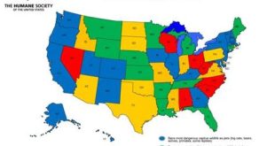 What state has the loosest exotic animal laws?