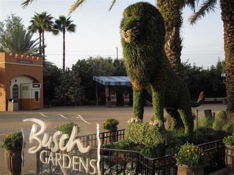 What time do the gates open at Busch Gardens Tampa?