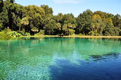 What time of year is best to go to Florida springs?