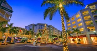 What town in Florida has a decorated tree?