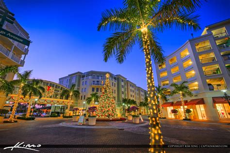 What town in Florida has a decorated tree?