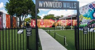 What's the main street in Wynwood?