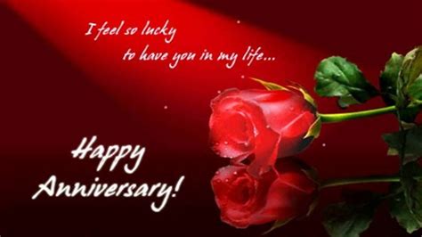 Where can I take my wife on our wedding anniversary?