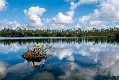 Where can you swim in the Everglades?