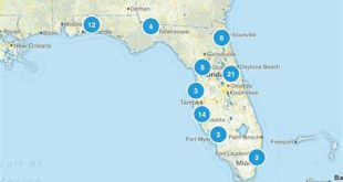 Where is the most dog friendly place in Florida?