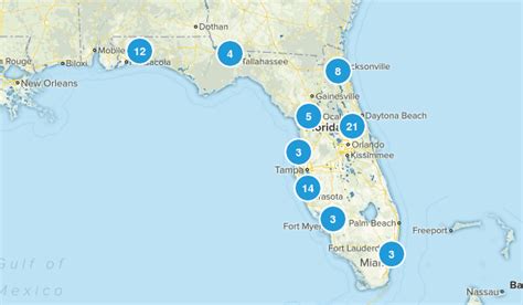 Where is the most dog friendly place in Florida?