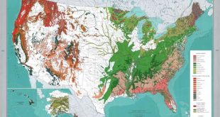 Where is the only tropical forest in the United States?