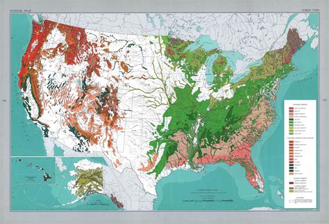 Where is the only tropical forest in the United States?