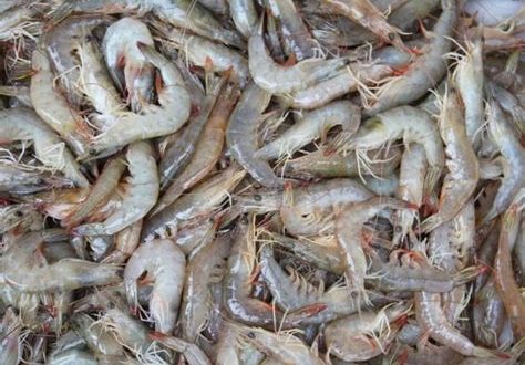 Where not to buy shrimp from?