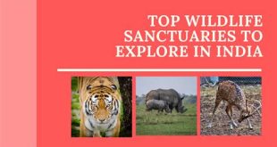 Which state has highest wildlife sanctuaries?
