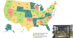 Which states allow pet tigers?