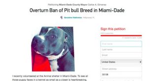 Why are pitbulls banned in Dade County?