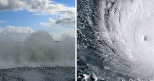 Why doesn t Florida get big waves?